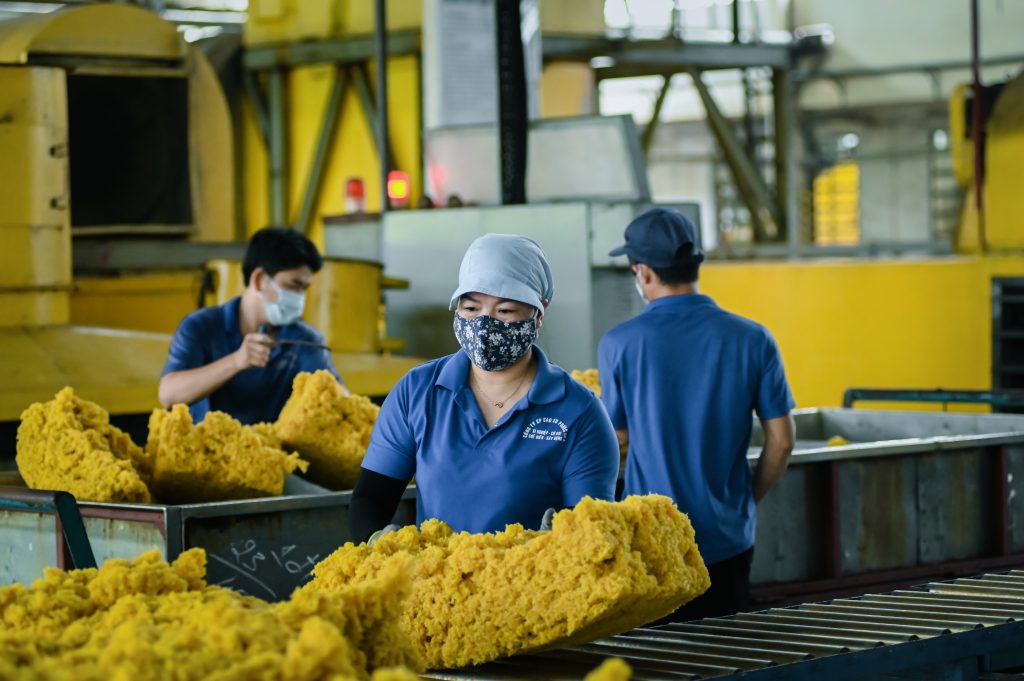 Dự báo mức tiêu thụ cao su tự nhiên tăng trưởng 5,4% đến năm 2033